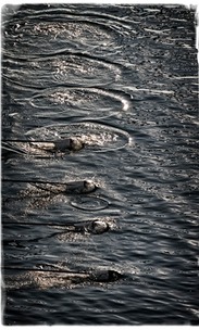 Hooch-107 low res