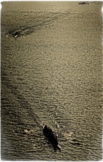 Hooch-83 low res