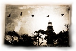 Pelicans Over Hunting Island Light